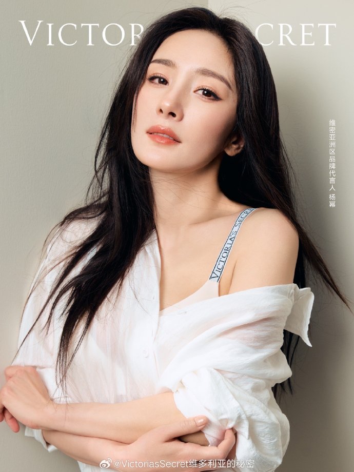 风骚律师